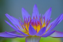 散歩の途中で。⑤