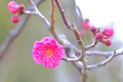 散歩の途中で。9