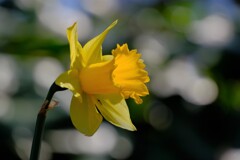 散歩の途中で。９