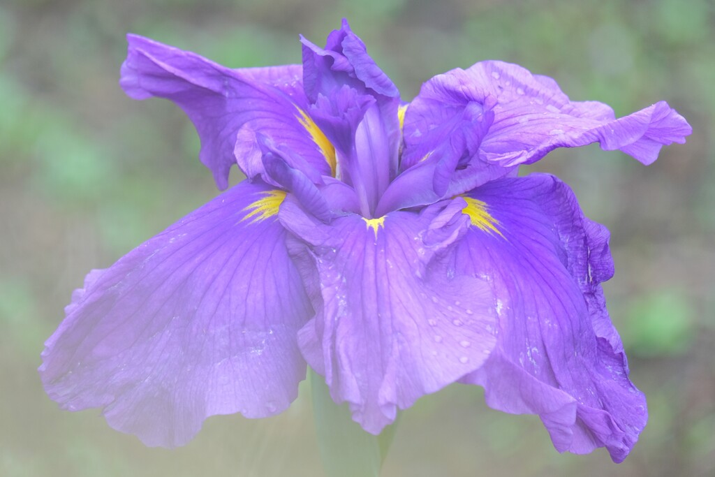 散歩の途中で。