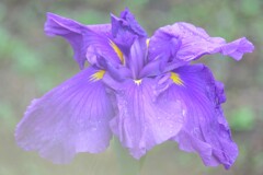 散歩の途中で。