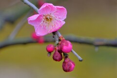 散歩の途中で。④