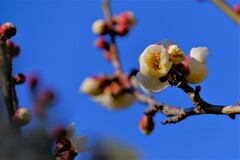 散歩の途中で。Ⅱ