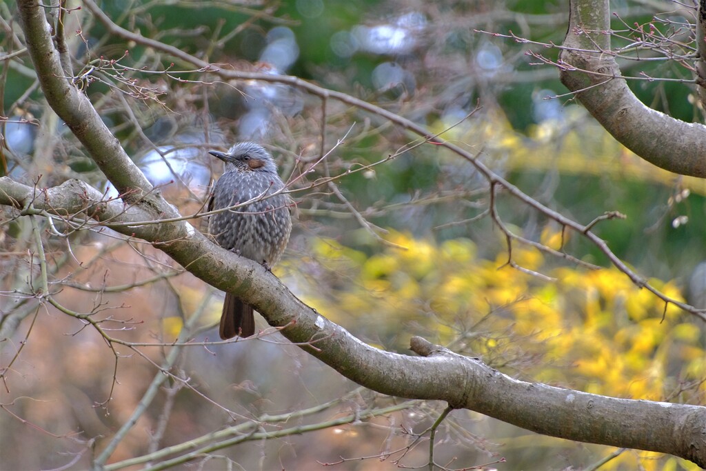 散歩の途中で。8