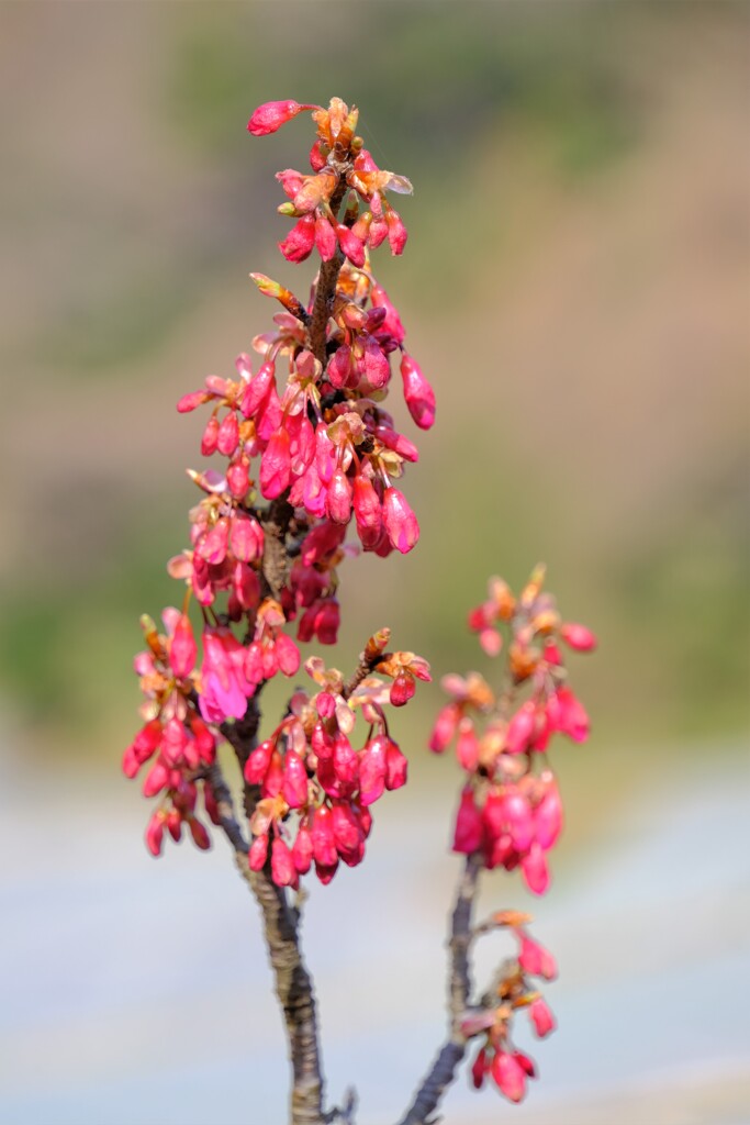 散歩の途中で。Ⅵ