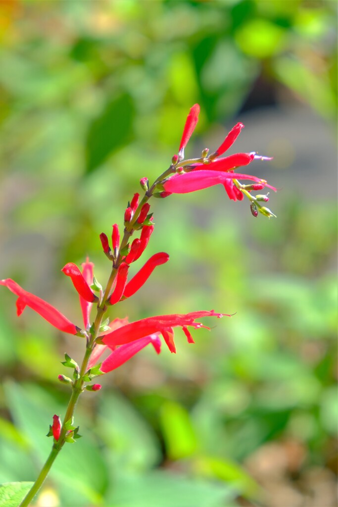 散歩の途中で。３