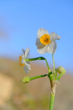 散歩の途中で。Ⅱ