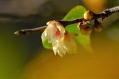 散歩の途中で、１