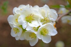 散歩の途中で。2