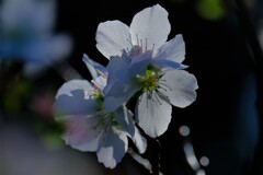 散歩の途中で。Ⅱ