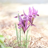 DSCF4549