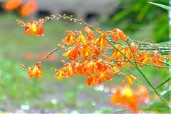 散歩の途中で。Ⅲ