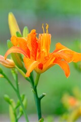 散歩の途中で。