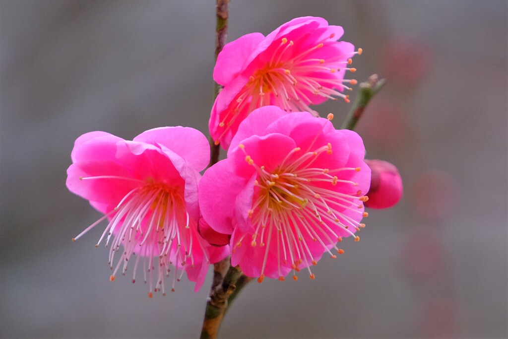 散歩の途中で。Ⅸ