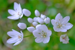 散歩の途中で。⑫