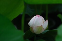 散歩の途中で。