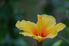 散歩の途中で。