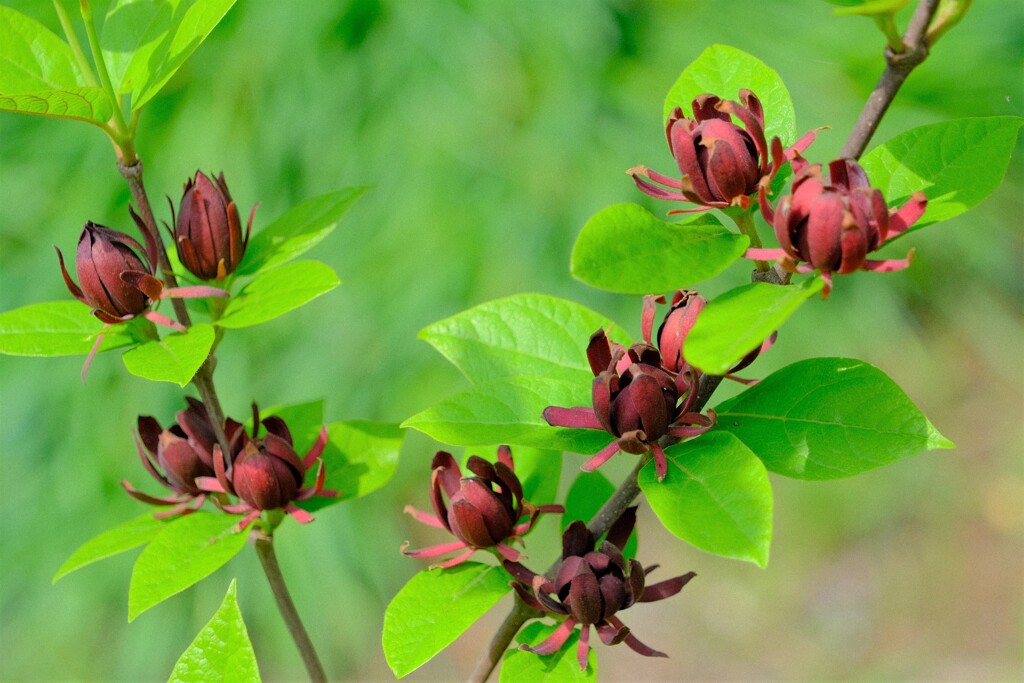 散歩の途中で。6