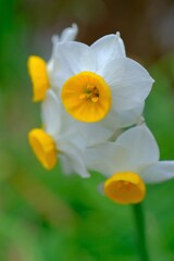 散歩の途中で。⑤