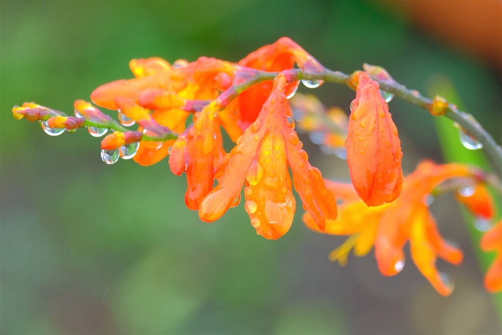 散歩の途中で。③