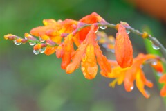 散歩の途中で。③