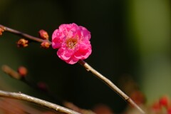 散歩の途中で。Ⅵ