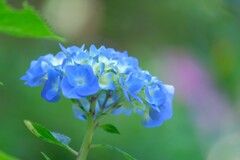 散歩の途中で。