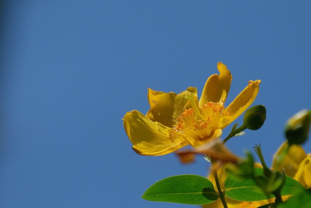 散歩の途中で。