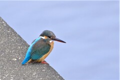 散歩の途中で。２