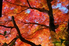 散歩の途中で。４，