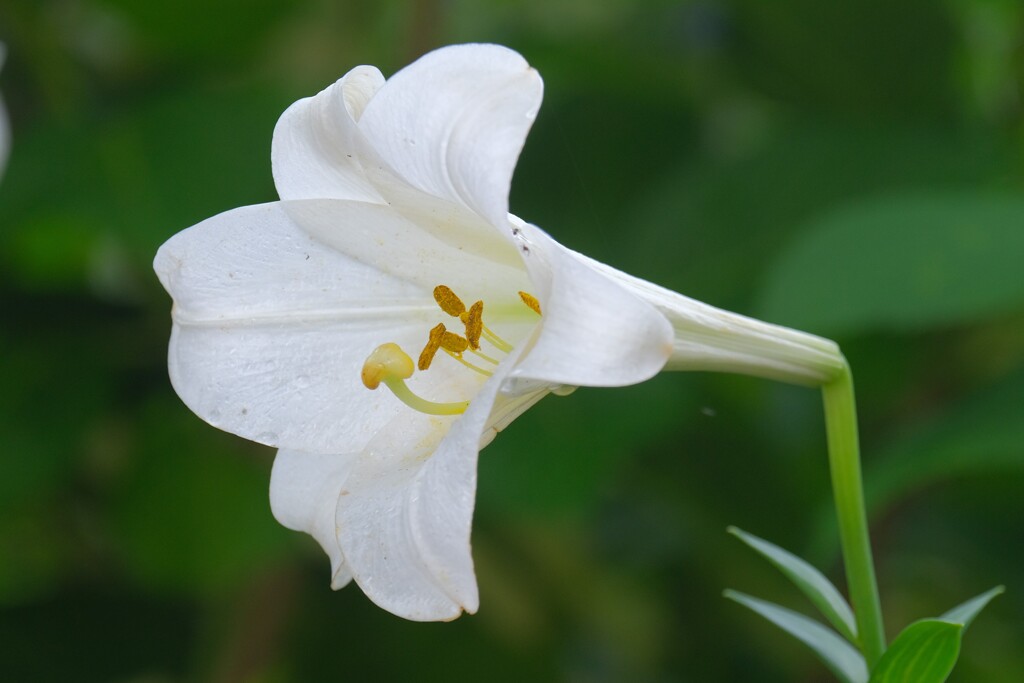 散歩の途中で。