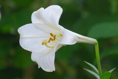 散歩の途中で。