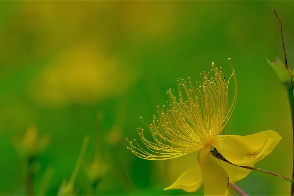 散歩の途中で。３