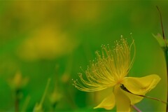 散歩の途中で。３