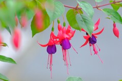 散歩の途中で。８