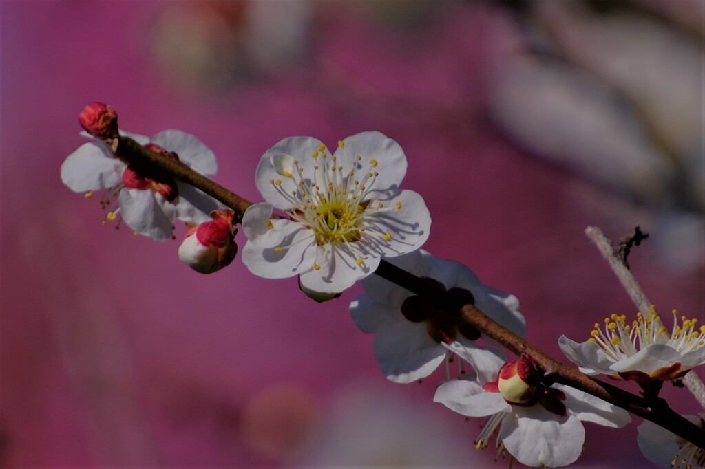 散歩の途中で。Ⅶ