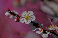 散歩の途中で。Ⅶ