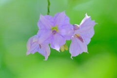 散歩の途中で。