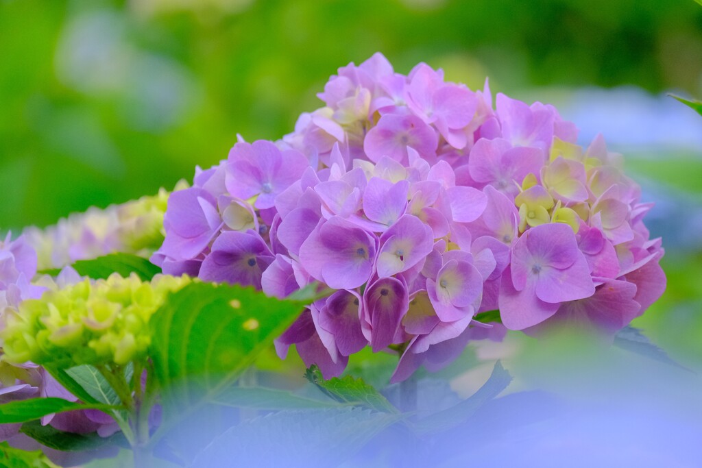 散歩の途中で。