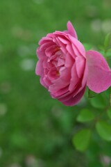 DSC_9886