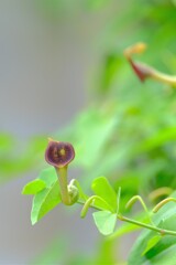 散歩の途中で。⑥