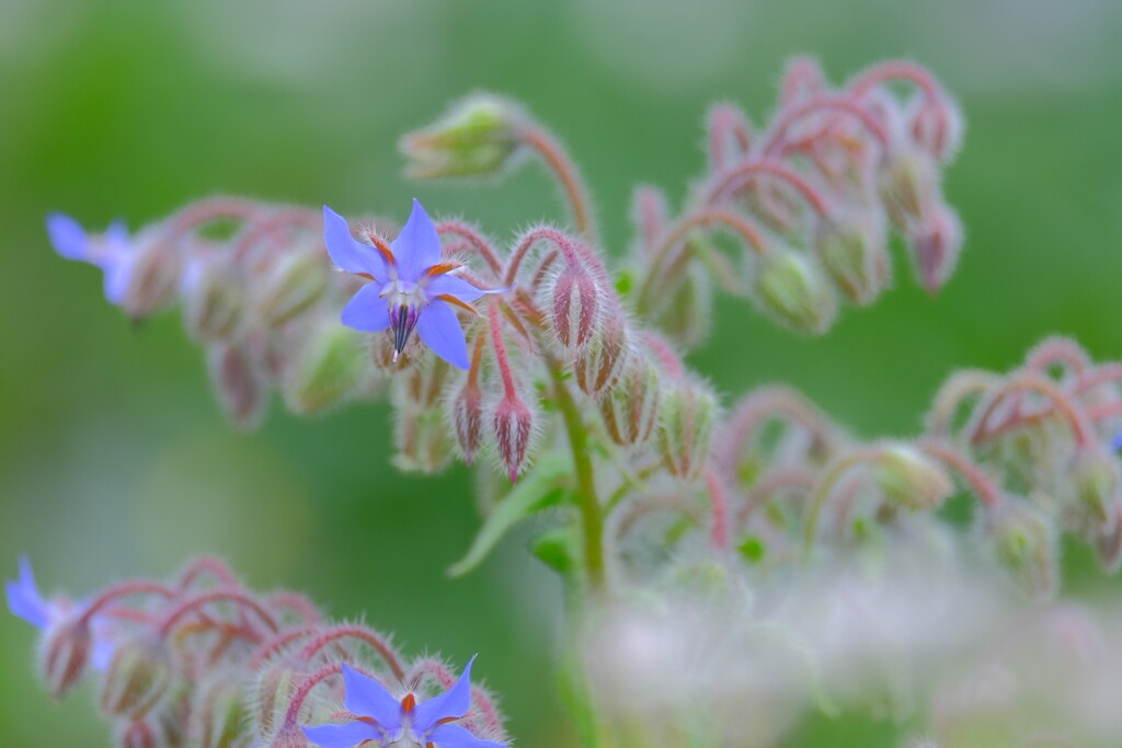 散歩の途中で。（３）
