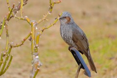 散歩の途中で。1