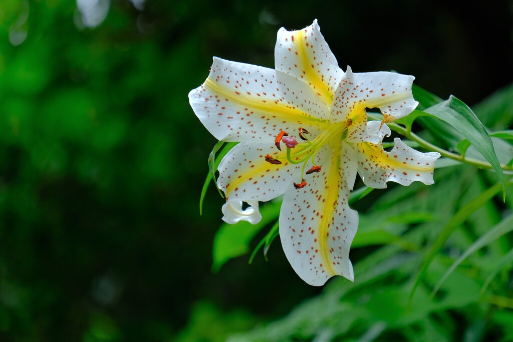 散歩の途中で。９