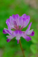 散歩の途中で。1