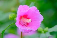 散歩の途中で。