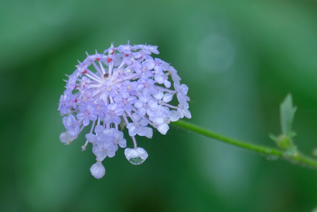 散歩の途中で。