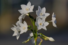 散歩の途中で。Ⅲ