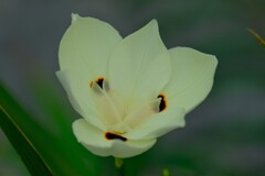 散歩の途中で。７