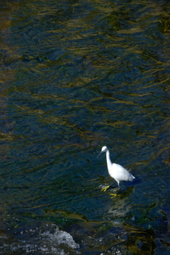 散歩の途中で。３